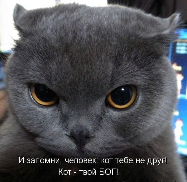 https://upforme.ru/uploads/0012/6e/7d/1844/278379.jpg