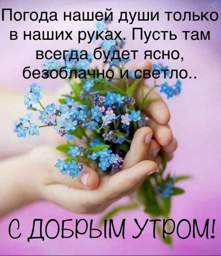 https://upforme.ru/uploads/0012/6e/7d/1844/282371.jpg