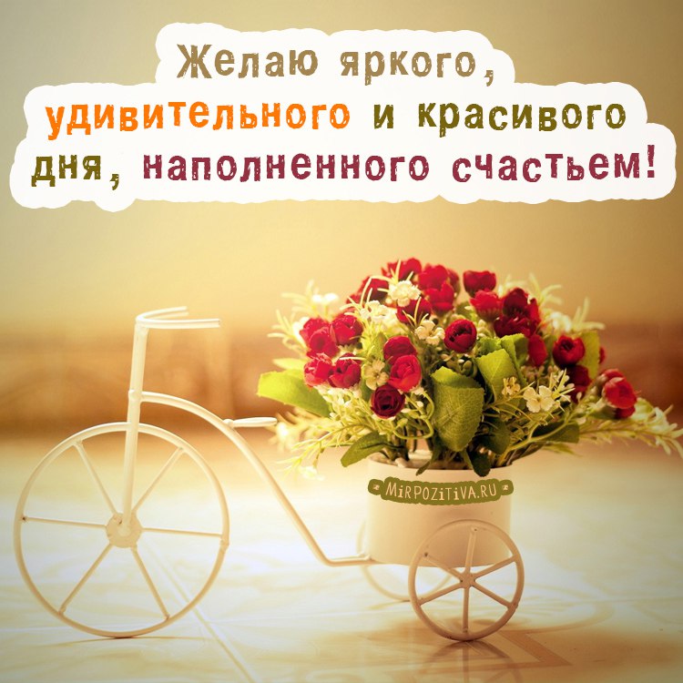 https://upforme.ru/uploads/0012/6e/7d/1844/288534.jpg