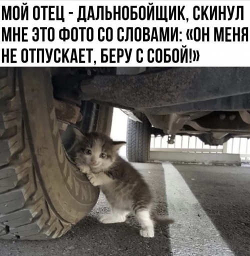 https://upforme.ru/uploads/0012/6e/7d/1844/29154.jpg
