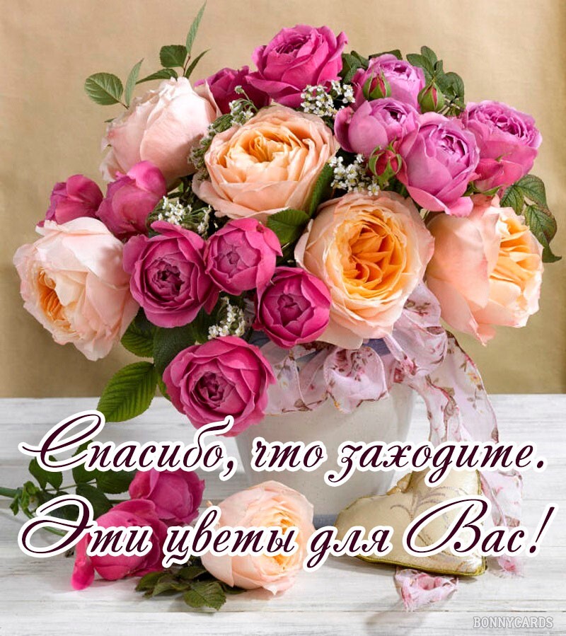 https://upforme.ru/uploads/0012/6e/7d/1844/302517.jpg
