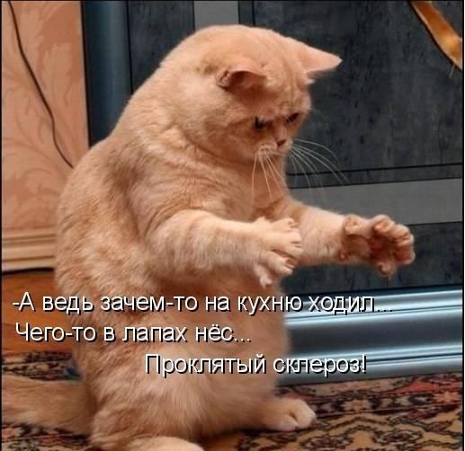 https://upforme.ru/uploads/0012/6e/7d/1844/308576.jpg