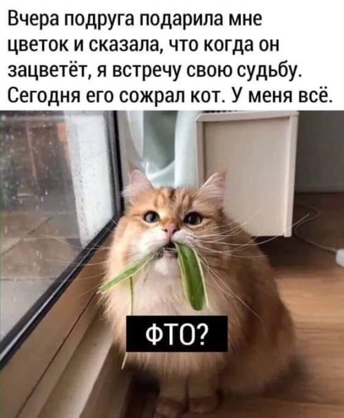 https://upforme.ru/uploads/0012/6e/7d/1844/310912.jpg
