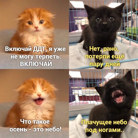 https://upforme.ru/uploads/0012/6e/7d/1844/31787.jpg