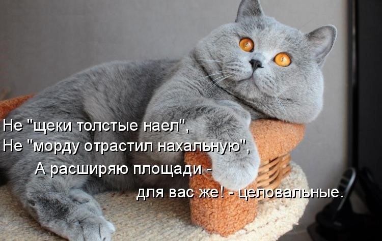 https://upforme.ru/uploads/0012/6e/7d/1844/318326.jpg