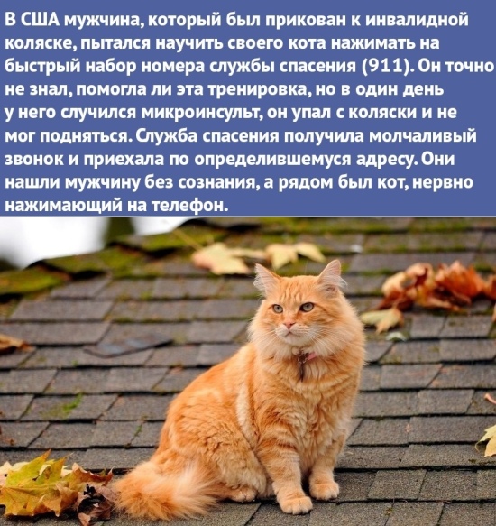 https://upforme.ru/uploads/0012/6e/7d/1844/337499.jpg