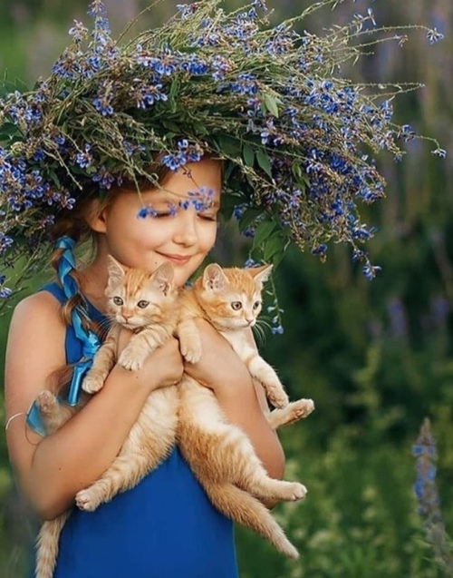 https://upforme.ru/uploads/0012/6e/7d/1844/345890.jpg