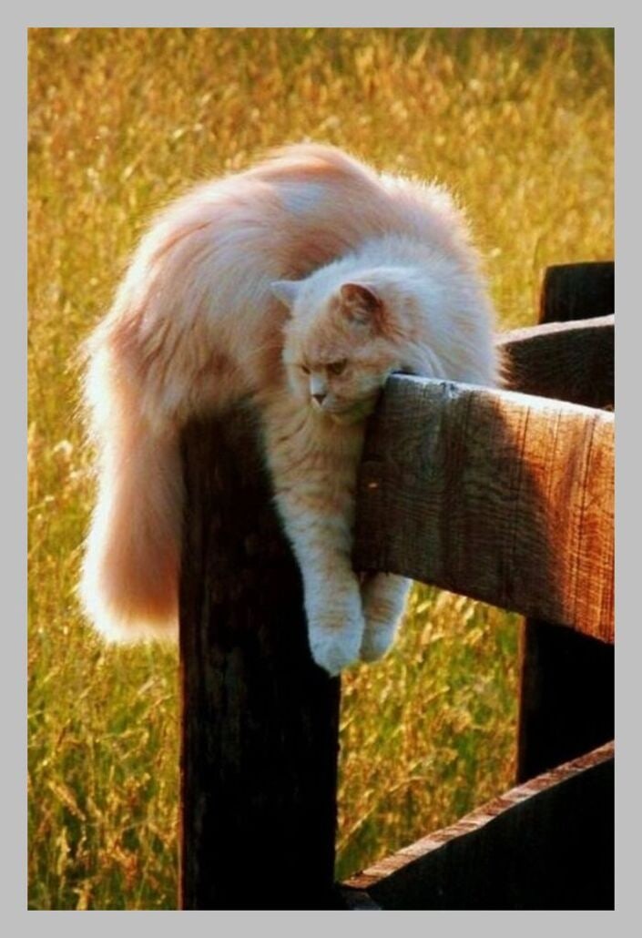 https://upforme.ru/uploads/0012/6e/7d/1844/349957.jpg