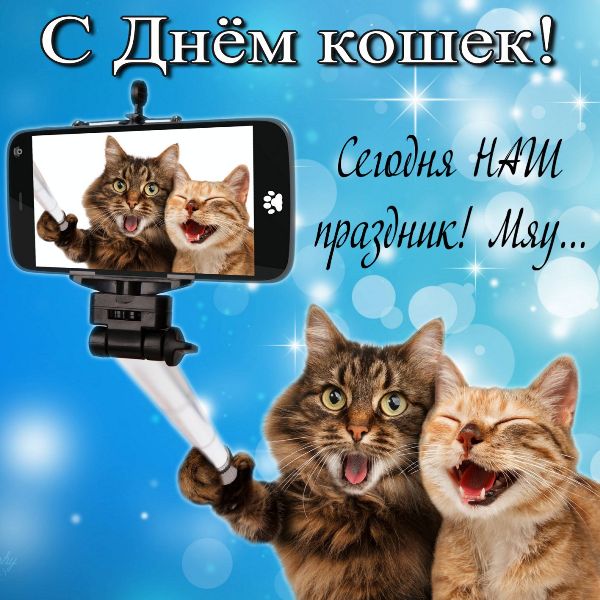 https://upforme.ru/uploads/0012/6e/7d/1844/351714.jpg