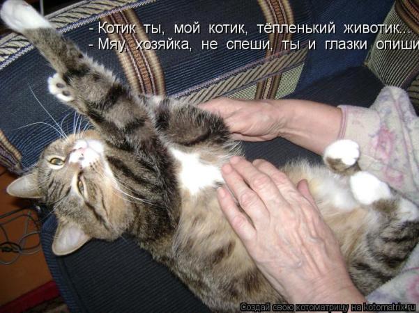 https://upforme.ru/uploads/0012/6e/7d/1844/389236.jpg