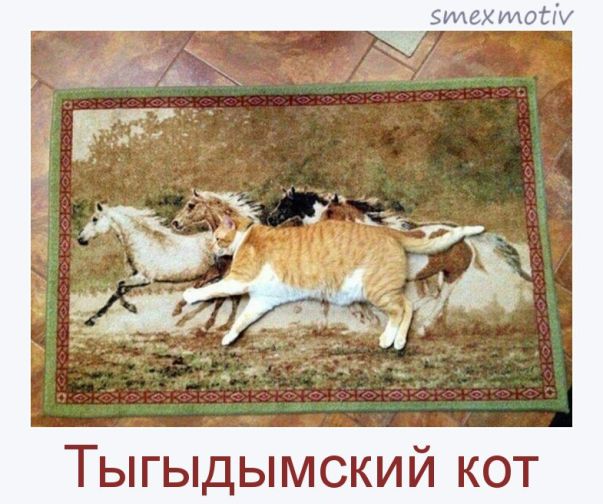 https://upforme.ru/uploads/0012/6e/7d/1844/395631.jpg