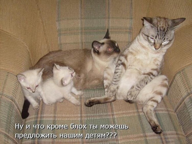 https://upforme.ru/uploads/0012/6e/7d/1844/405780.jpg