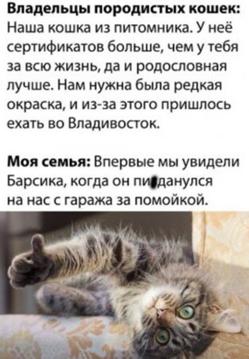 https://upforme.ru/uploads/0012/6e/7d/1844/41975.jpg