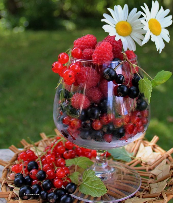 https://upforme.ru/uploads/0012/6e/7d/1844/421951.jpg