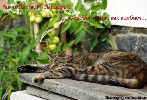 https://upforme.ru/uploads/0012/6e/7d/1844/431704.jpg