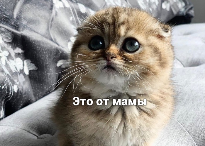 https://upforme.ru/uploads/0012/6e/7d/1844/441743.jpg