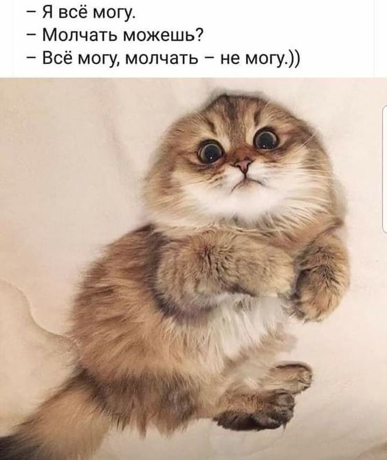 https://upforme.ru/uploads/0012/6e/7d/1844/444738.jpg