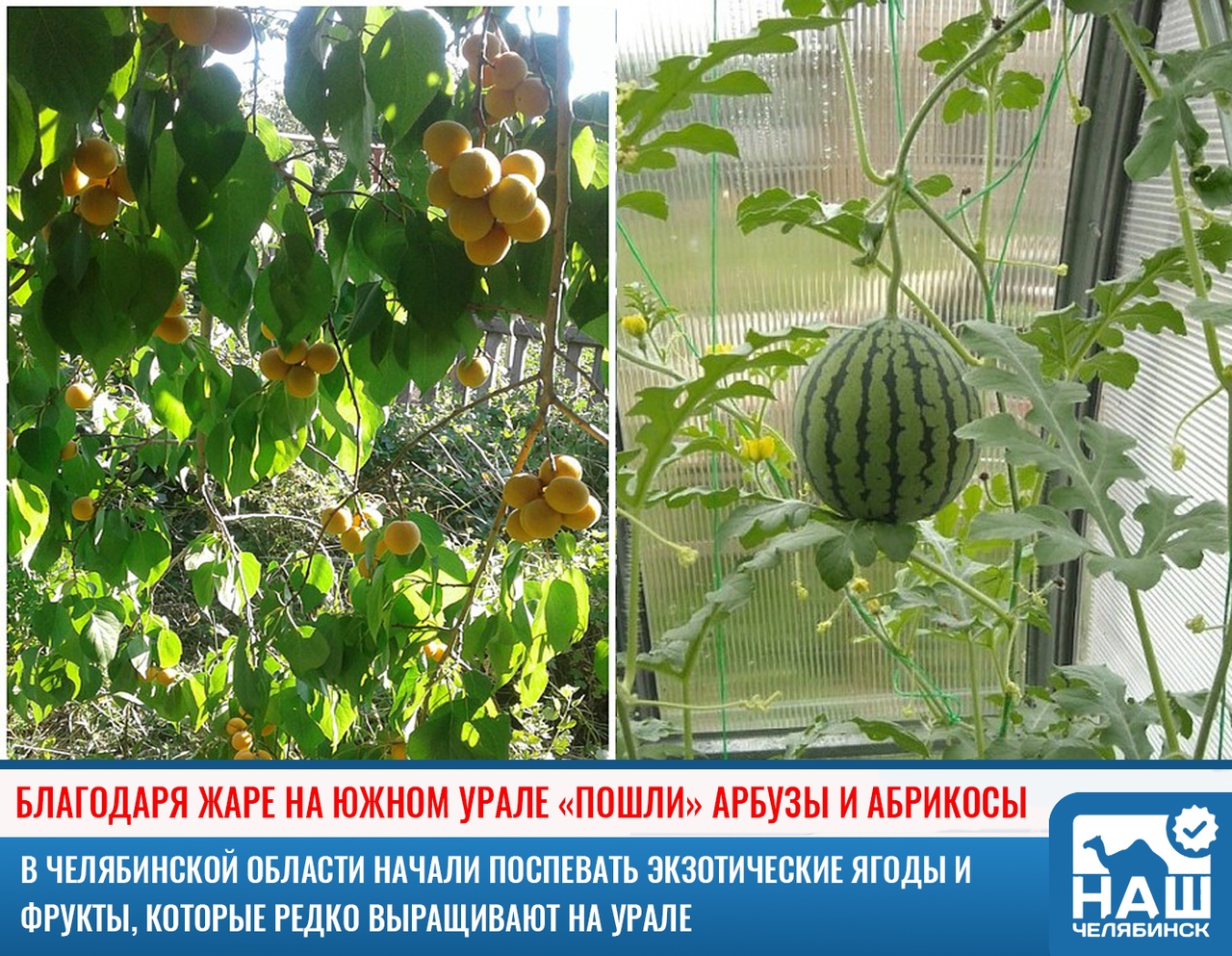 https://upforme.ru/uploads/0012/6e/7d/1844/468447.jpg