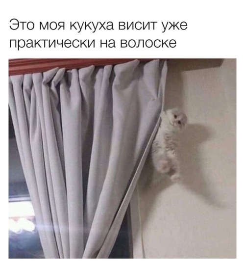https://upforme.ru/uploads/0012/6e/7d/1844/469650.jpg