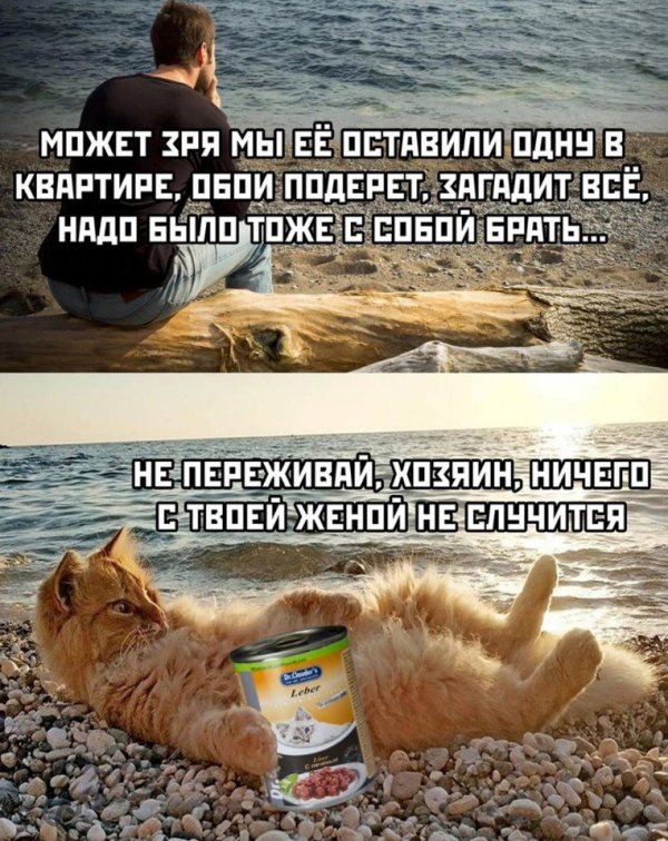 https://upforme.ru/uploads/0012/6e/7d/1844/472257.jpg