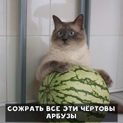 https://upforme.ru/uploads/0012/6e/7d/1844/476724.jpg