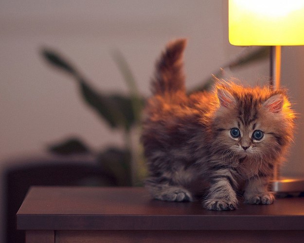 https://upforme.ru/uploads/0012/6e/7d/1844/485247.jpg