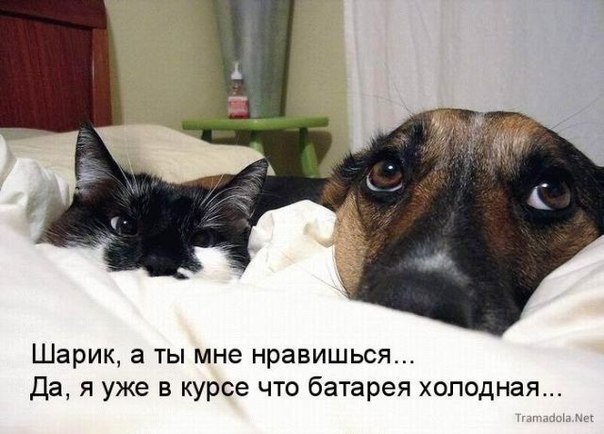 https://upforme.ru/uploads/0012/6e/7d/1844/491134.jpg