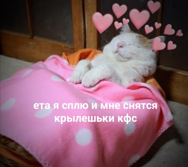https://upforme.ru/uploads/0012/6e/7d/1844/508504.jpg