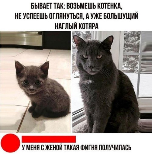 https://upforme.ru/uploads/0012/6e/7d/1844/510172.jpg