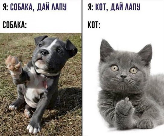 https://upforme.ru/uploads/0012/6e/7d/1844/526031.jpg