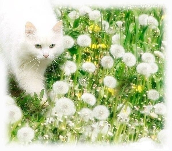 https://upforme.ru/uploads/0012/6e/7d/1844/539941.jpg