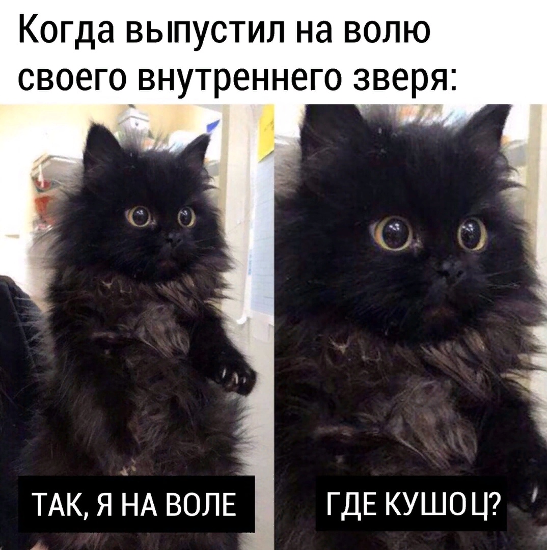 https://upforme.ru/uploads/0012/6e/7d/1844/551961.jpg