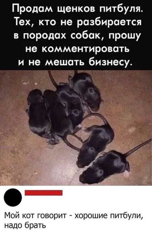https://upforme.ru/uploads/0012/6e/7d/1844/562920.jpg
