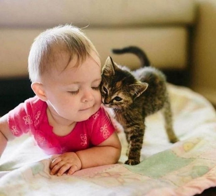 https://upforme.ru/uploads/0012/6e/7d/1844/563190.jpg