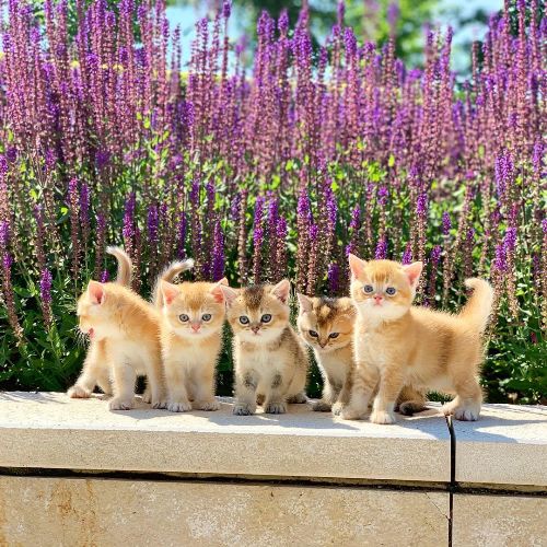 https://upforme.ru/uploads/0012/6e/7d/1844/570601.jpg