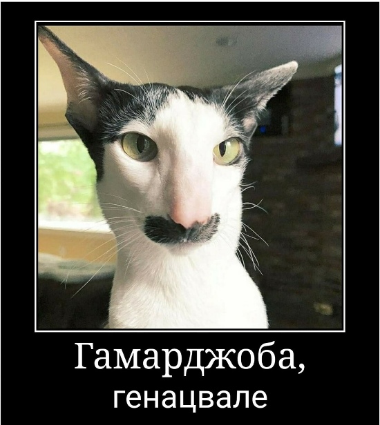 https://upforme.ru/uploads/0012/6e/7d/1844/575416.jpg