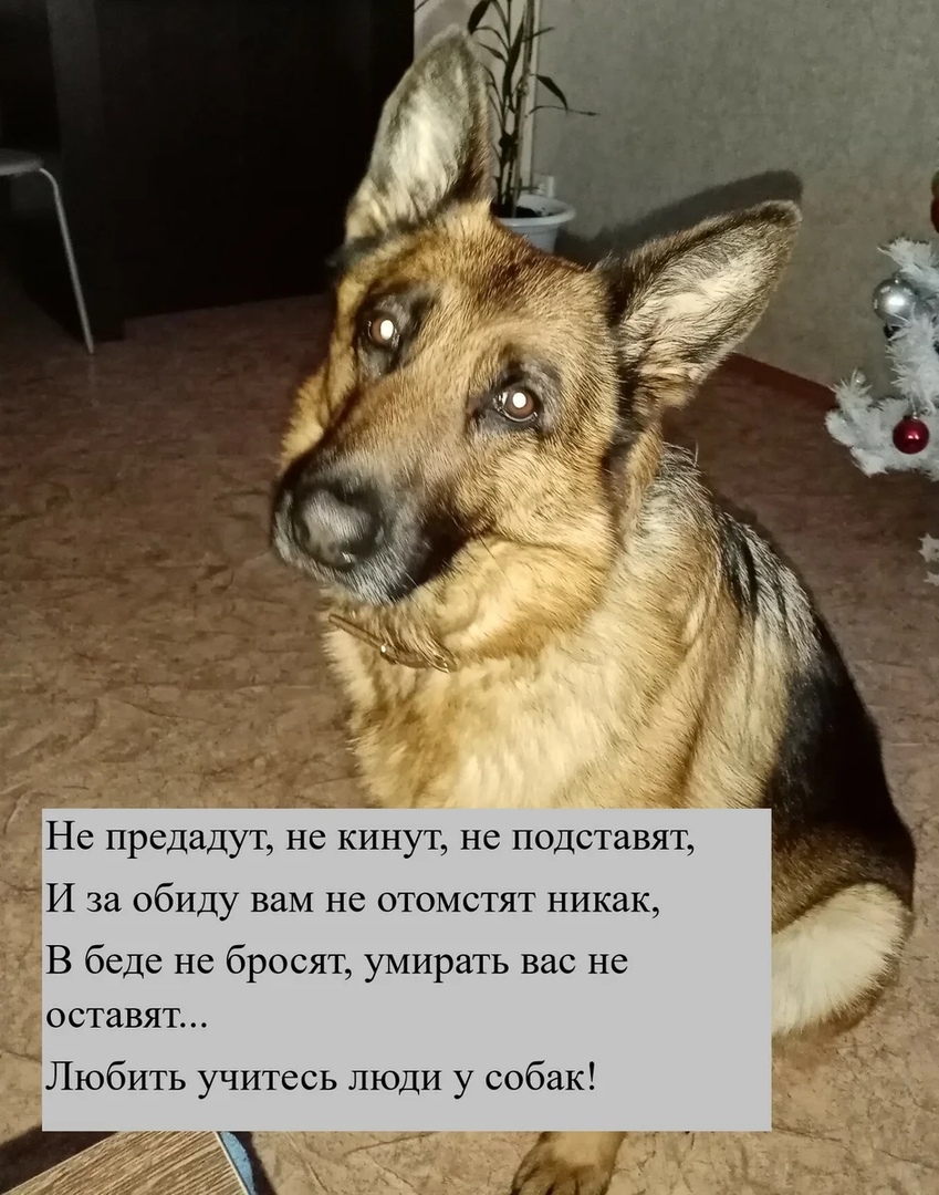 https://upforme.ru/uploads/0012/6e/7d/1844/580798.jpg