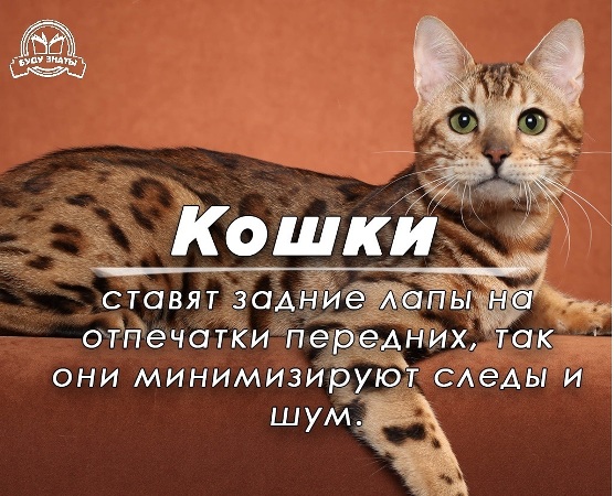 https://upforme.ru/uploads/0012/6e/7d/1844/582883.jpg
