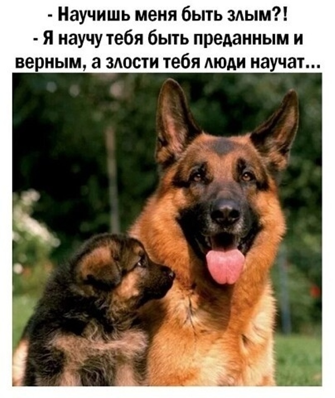https://upforme.ru/uploads/0012/6e/7d/1844/587504.jpg