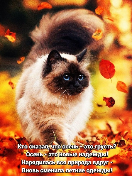 https://upforme.ru/uploads/0012/6e/7d/1844/593912.jpg