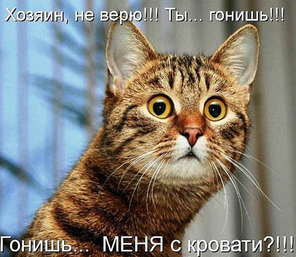 https://upforme.ru/uploads/0012/6e/7d/1844/59927.jpg