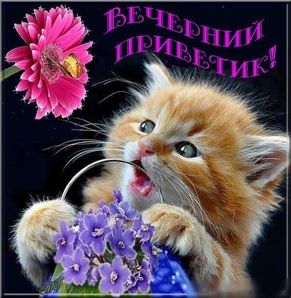 https://upforme.ru/uploads/0012/6e/7d/1844/600924.jpg