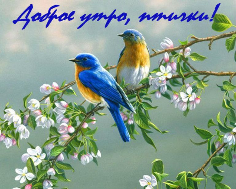 https://upforme.ru/uploads/0012/6e/7d/1844/60304.jpg