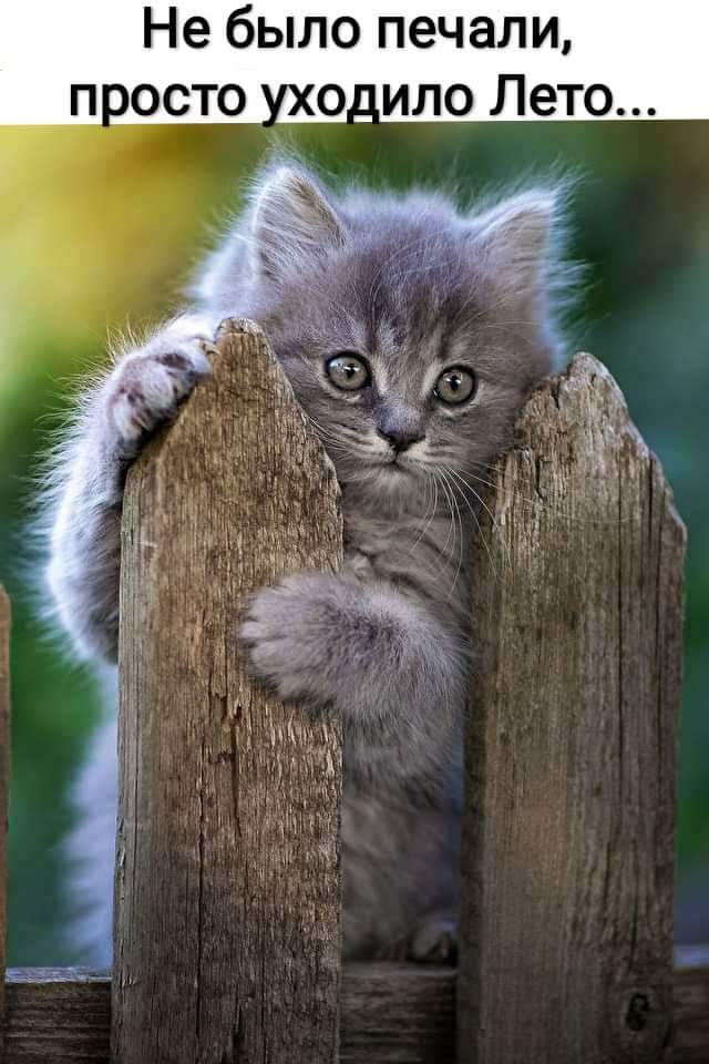https://upforme.ru/uploads/0012/6e/7d/1844/606810.jpg