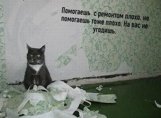 https://upforme.ru/uploads/0012/6e/7d/1844/625219.jpg