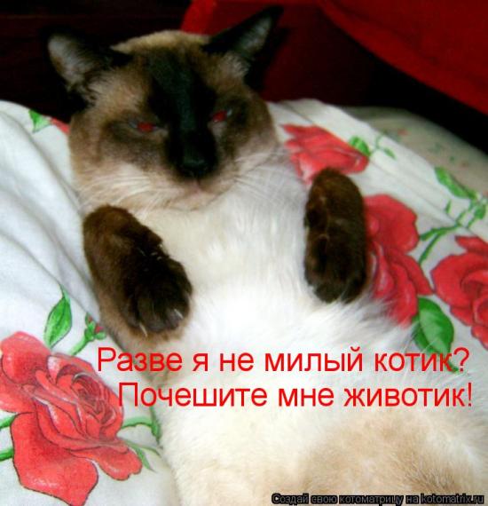 https://upforme.ru/uploads/0012/6e/7d/1844/625737.jpg