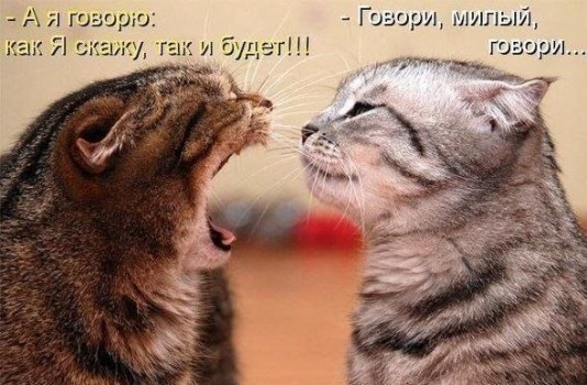 https://upforme.ru/uploads/0012/6e/7d/1844/634711.jpg