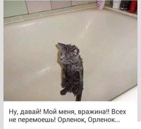 https://upforme.ru/uploads/0012/6e/7d/1844/639482.jpg