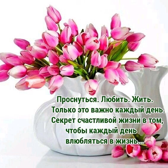 https://upforme.ru/uploads/0012/6e/7d/1844/649447.jpg