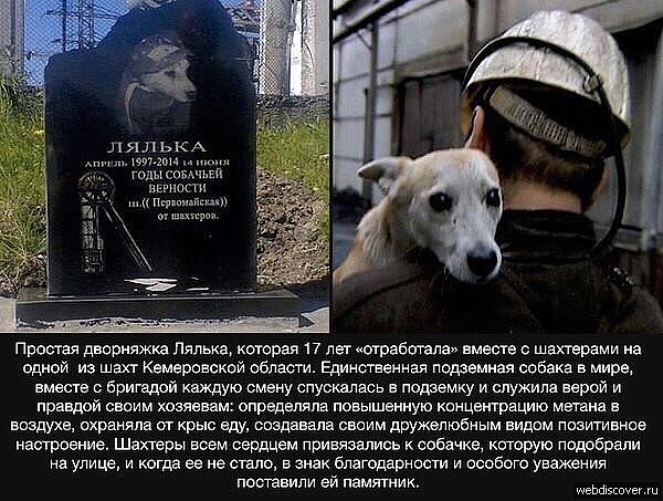 https://upforme.ru/uploads/0012/6e/7d/1844/652382.jpg